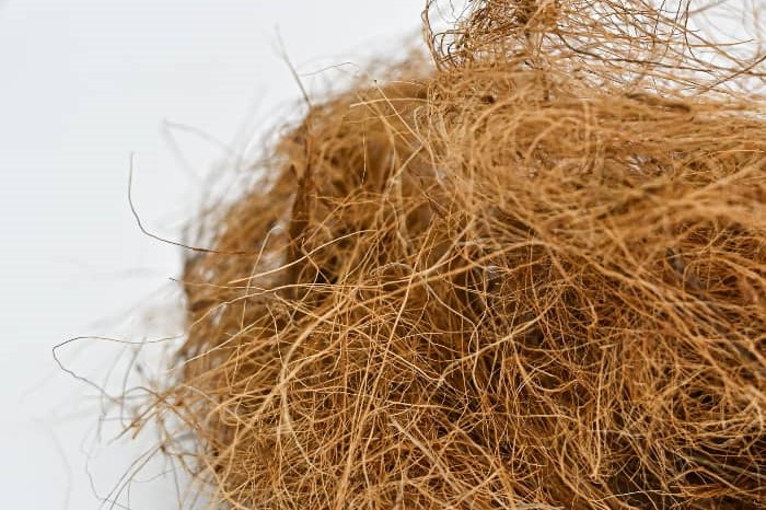 Fibre de coco en vrac